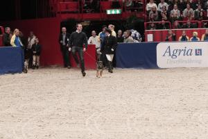Kristian von Krusenstierna visar snyggt steg.