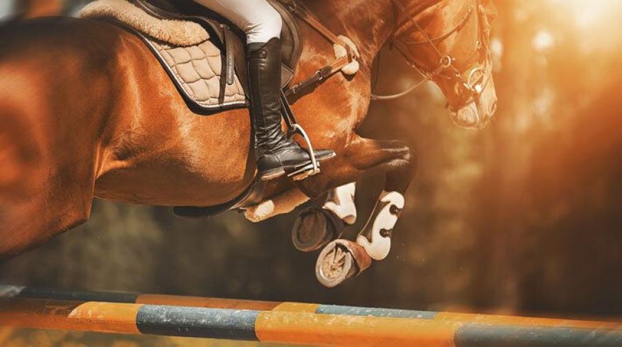 Foto: Adobe Stock