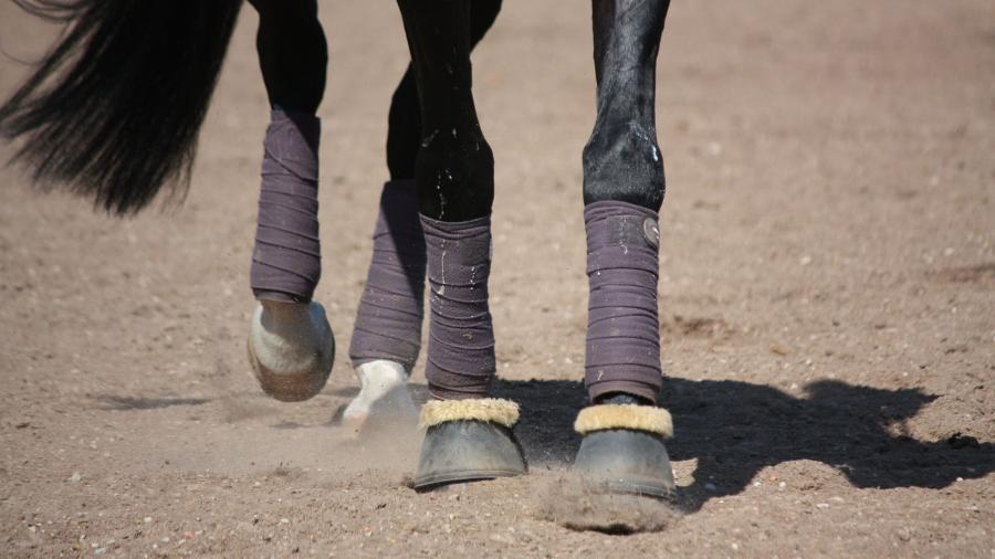 Skyddade ben på gott och ont