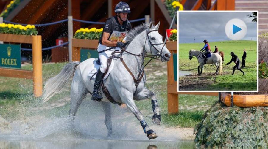 Arkivfoto: Tomas Holcbecher och skärmdump, Chloet.eventing