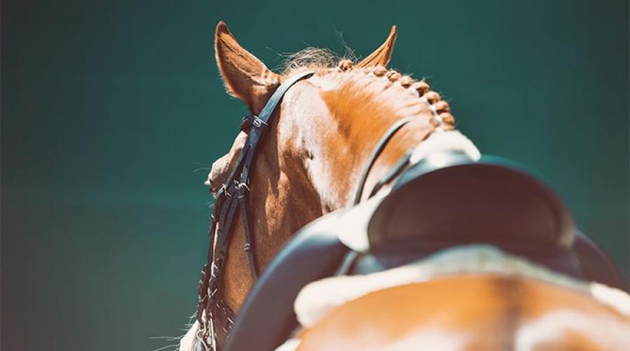 Arkivfoto: Adobe Stock