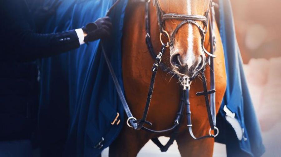 Ukraina: Svårt att få information