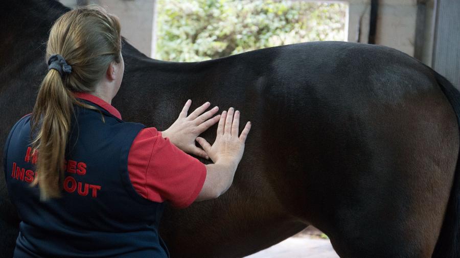 4 x stretch som daglig rutin