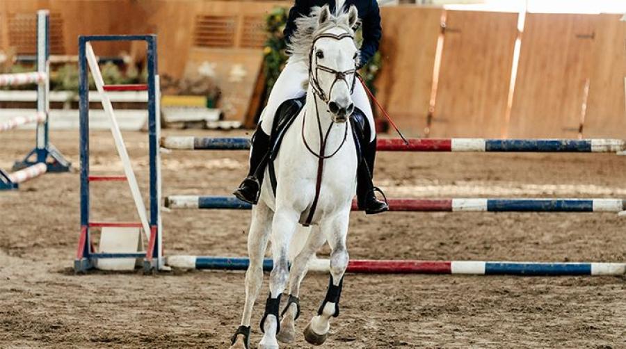 Arkivfoto: Adobe Stock