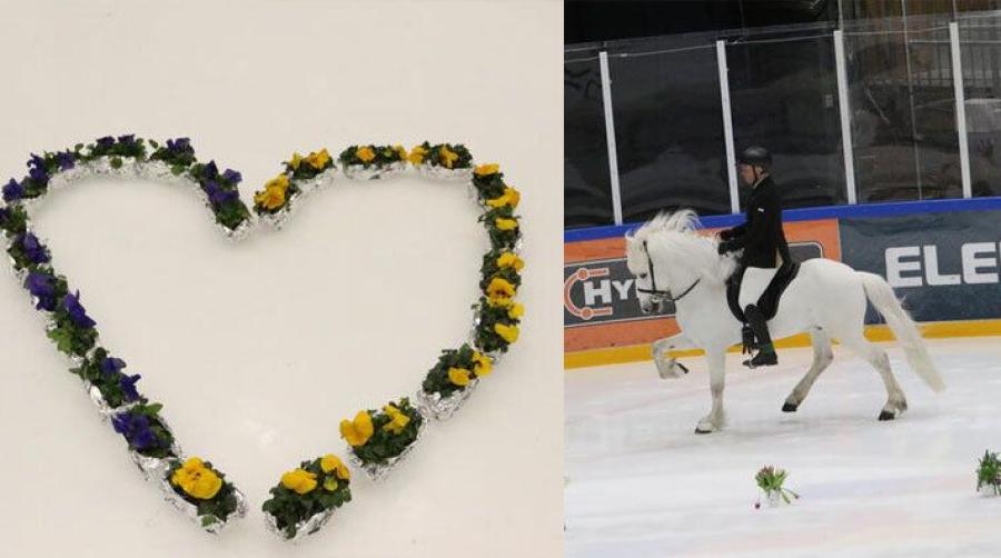 Häng med till Tölt on Ice
