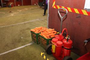 Morötter och brandsläckare samsas i stallgångarna. För alla hästar som presterar under GHS bjuds det på morötter!