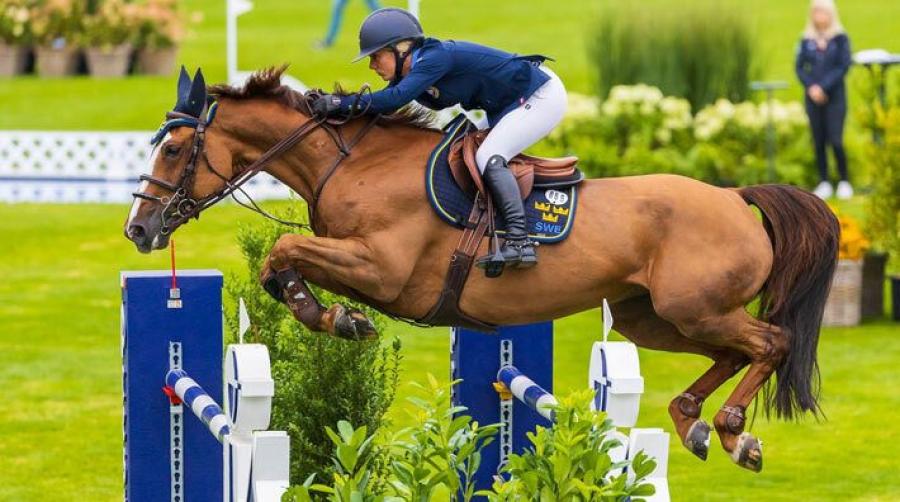 Angelica Augustsson Zanotelli ska rida sin första världscupfinal tillsammans med EM-hästen Kalinka van de Nachtegaele.