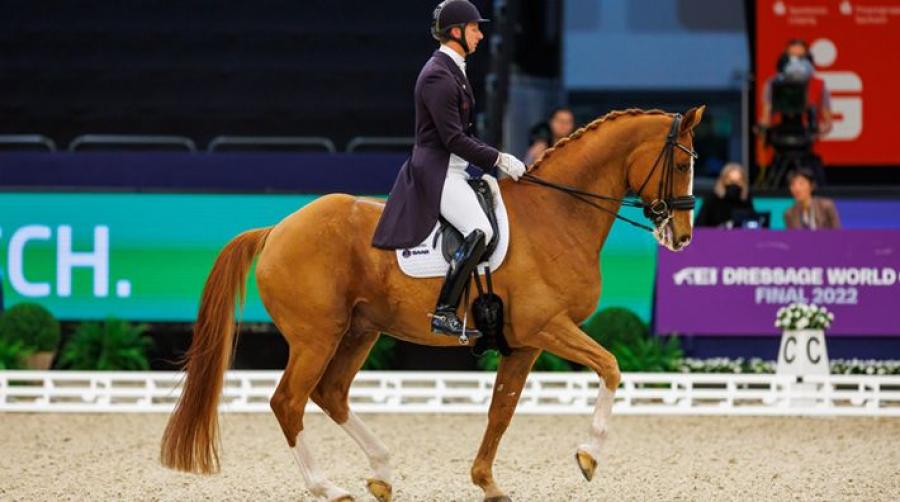 Foto: Tomas Holcbecher