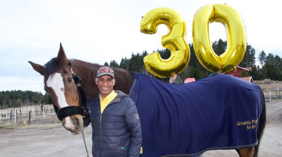 Stort kalas när mästerskapshästen Piquet fyllde 30