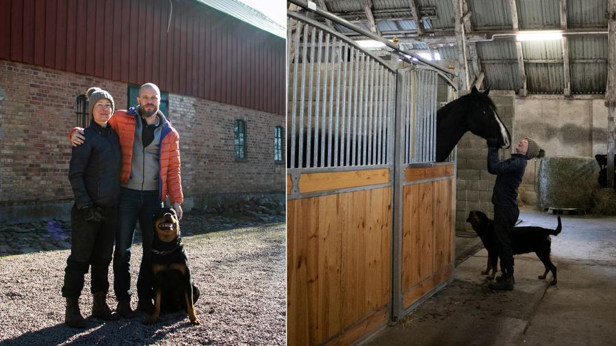 Bildspel: Marie Mellberg byggde stall av gammal lada