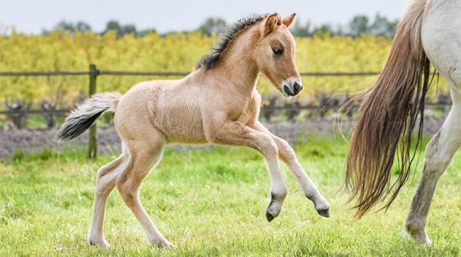 Arkivfoto: Adobe Stock