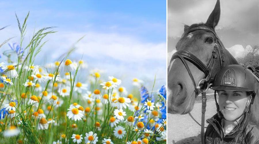 Sara kan bli lyssnarnas sommarvärd