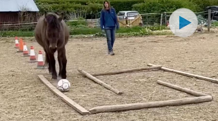 Här kommer lite inspiration till helgens träningspass. Du behöver koner, en "labyrint" av bommar och en fotboll. Sedan är det bara att börja öva.