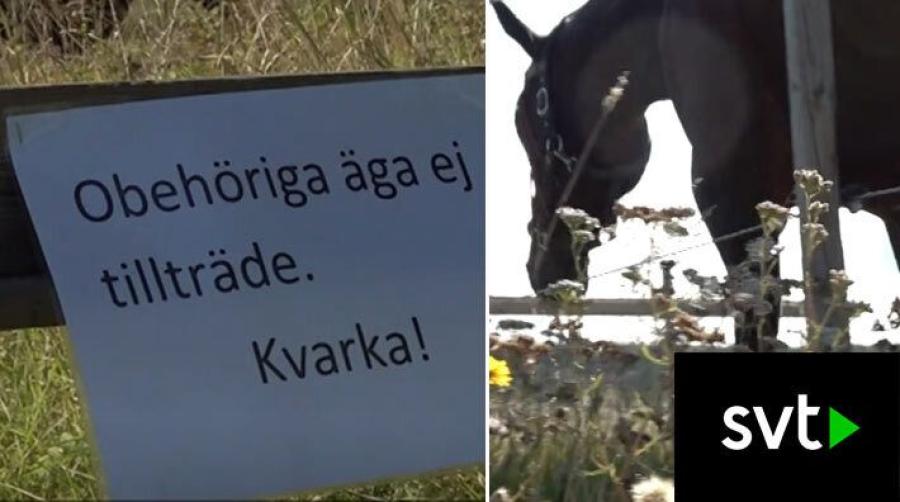 Gittan Gröndahl svarar på frågor om kvarka