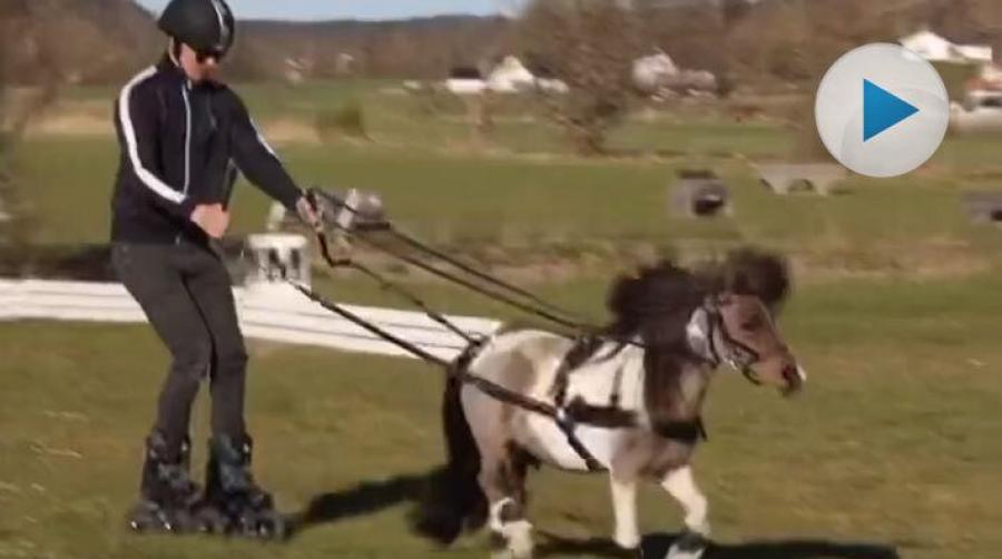 Fälttävlansryttaren Pontus Hugosson är van vid terrängbanan. Tillsammans med Katitzi tar de sig an ett par hinder på ett lite annorlunda vis.