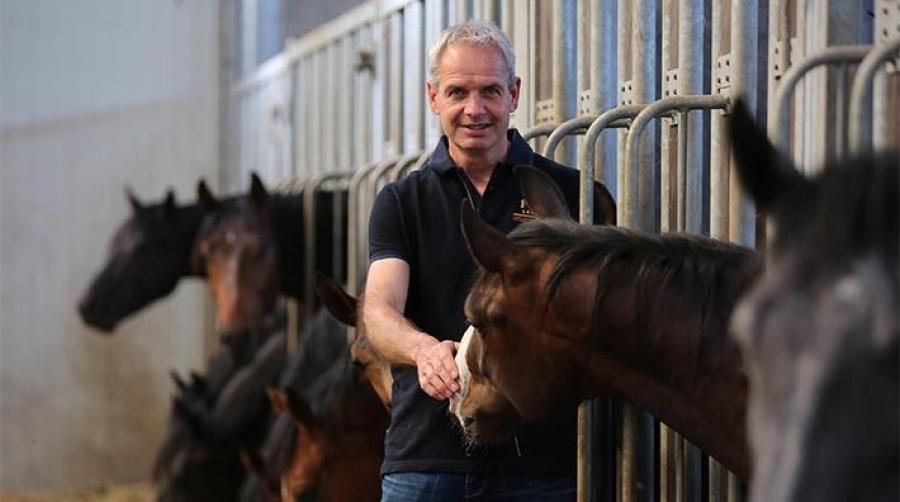 Foto: www.horseauction.eu