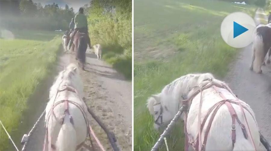 Kronos tar matpauser på mattes kommando