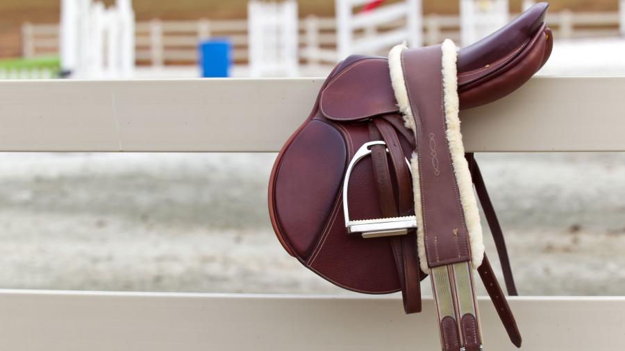 Din sadel får inte störa hästen