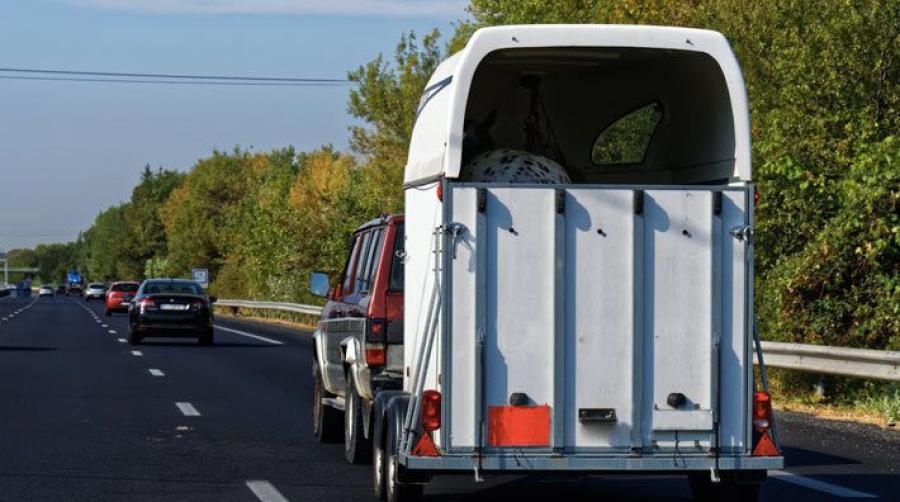 Hästtransporten på bilden har inget samband med släpet i artikeln. Foto: Adobe Stock