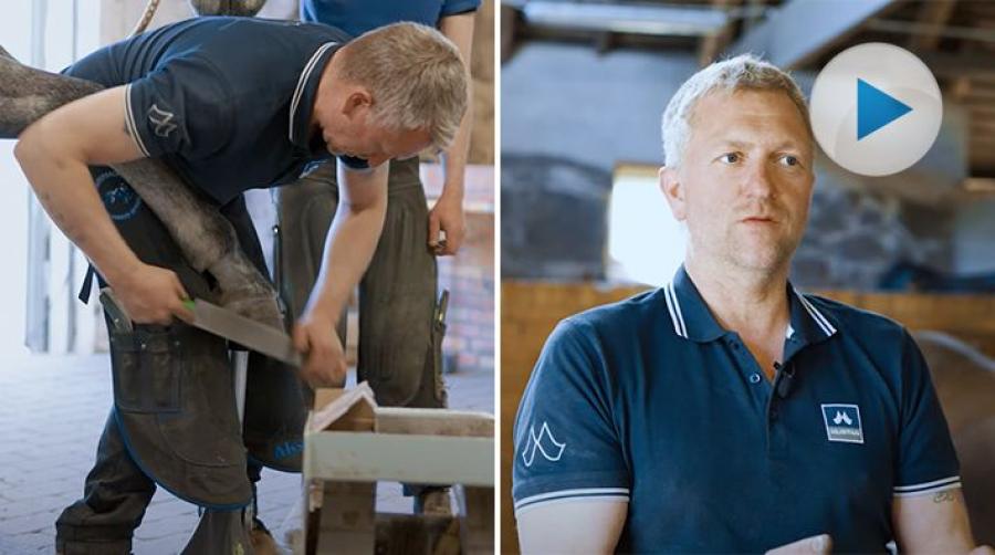 <p>Just nu studeras hur sporthästar påverkas av att ridas med eller utan skor. Under maj månad utfördes praktiska försök hos Peder Fredricson.