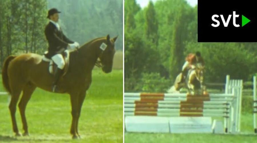 En gång i tiden var dressyr "krumelur-ridning", en tävlingsstart kostade 15 kronor och alla var lite tokiga – hästtokiga!