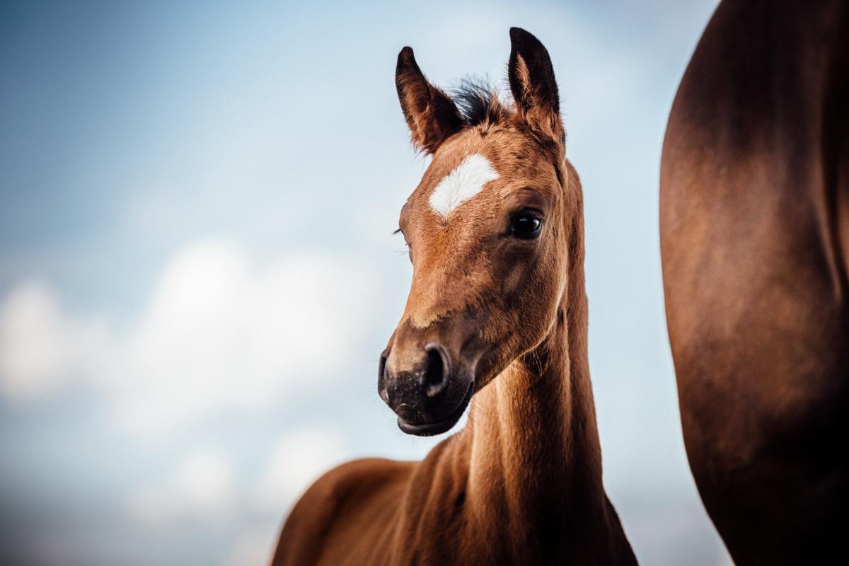 Genrebild. Foto: Adobe stock