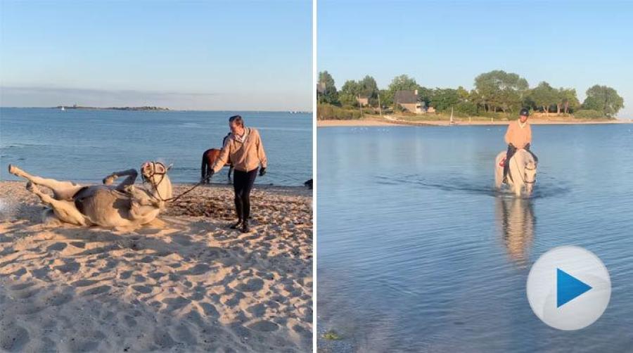 Fuchs och Clooney återförenade för en stund