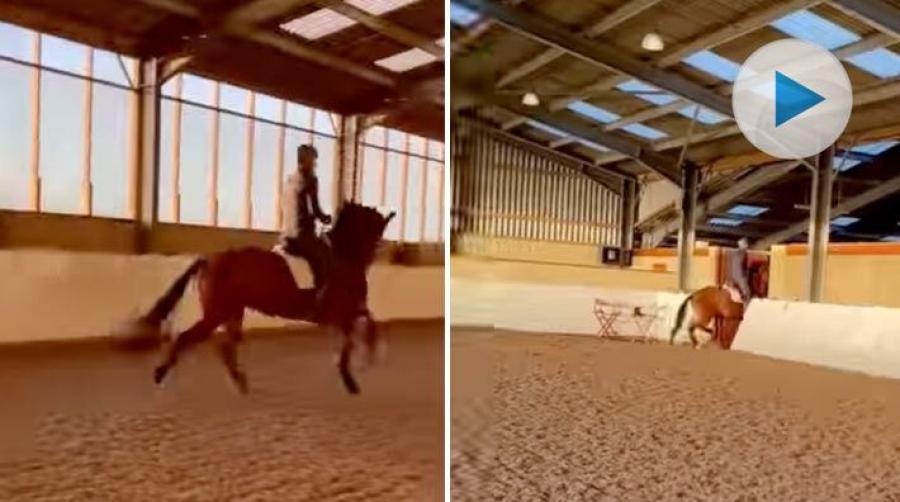 Tränar byte med full gas …