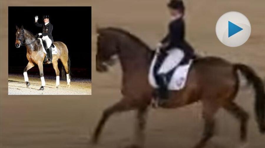 Den legendariska hästen Satchmo har gått bort, 28 år gammal. Med tyska Isabell Werth i sadeln hade de stora framgångar på dressyrbanorna.