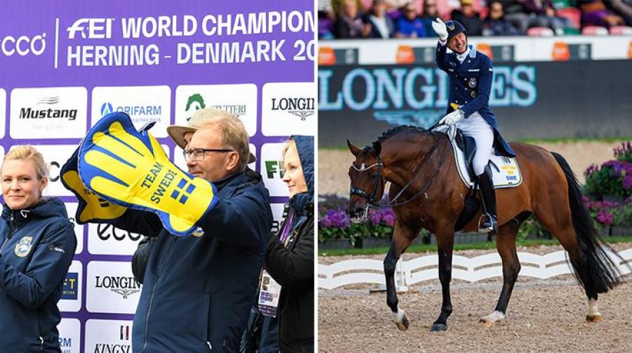 Foto: Linnea Lindahl och Tomas Holcbecher