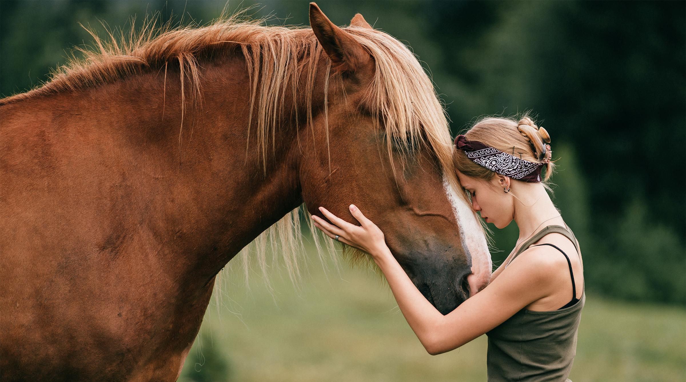 Bilden är tagen i ett annat sammanhang. Foto: Adobe Stock