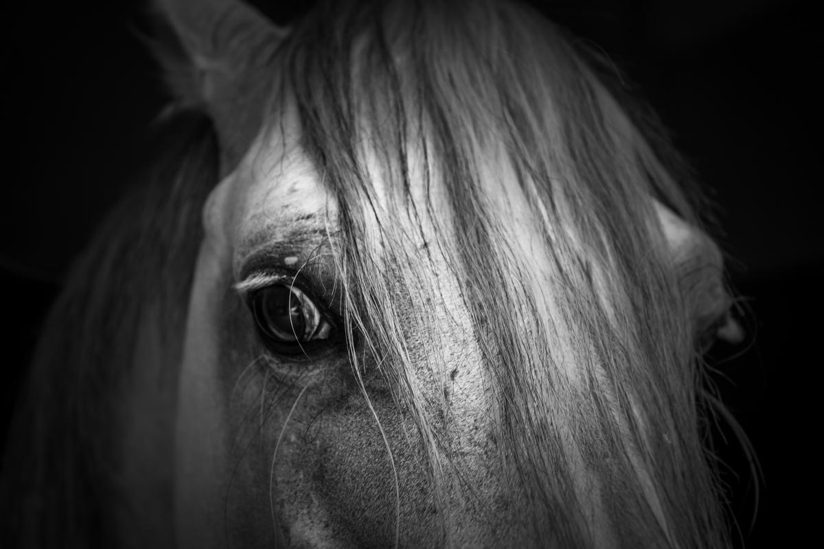 Arkivfoto: Adobe stock