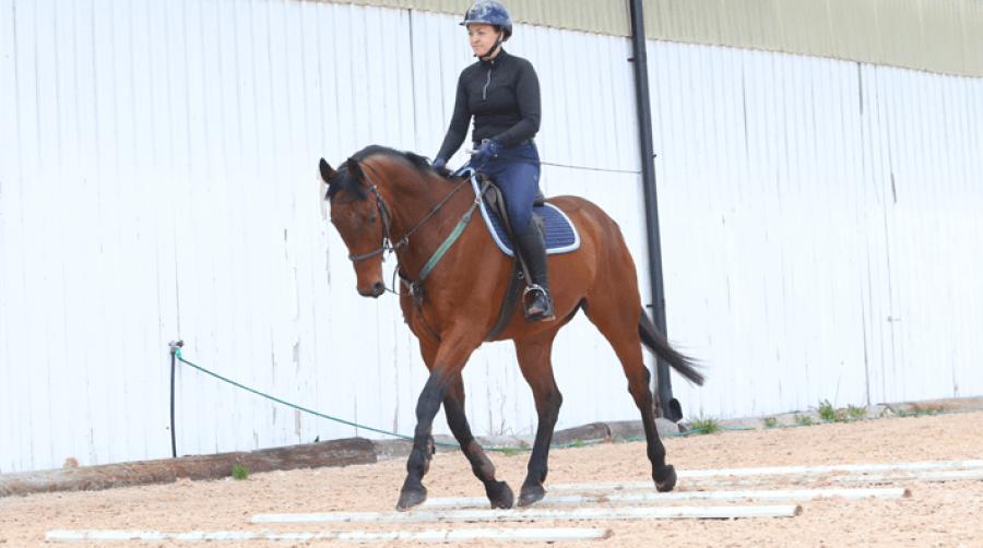 Tempoväxla över cavalettibommar