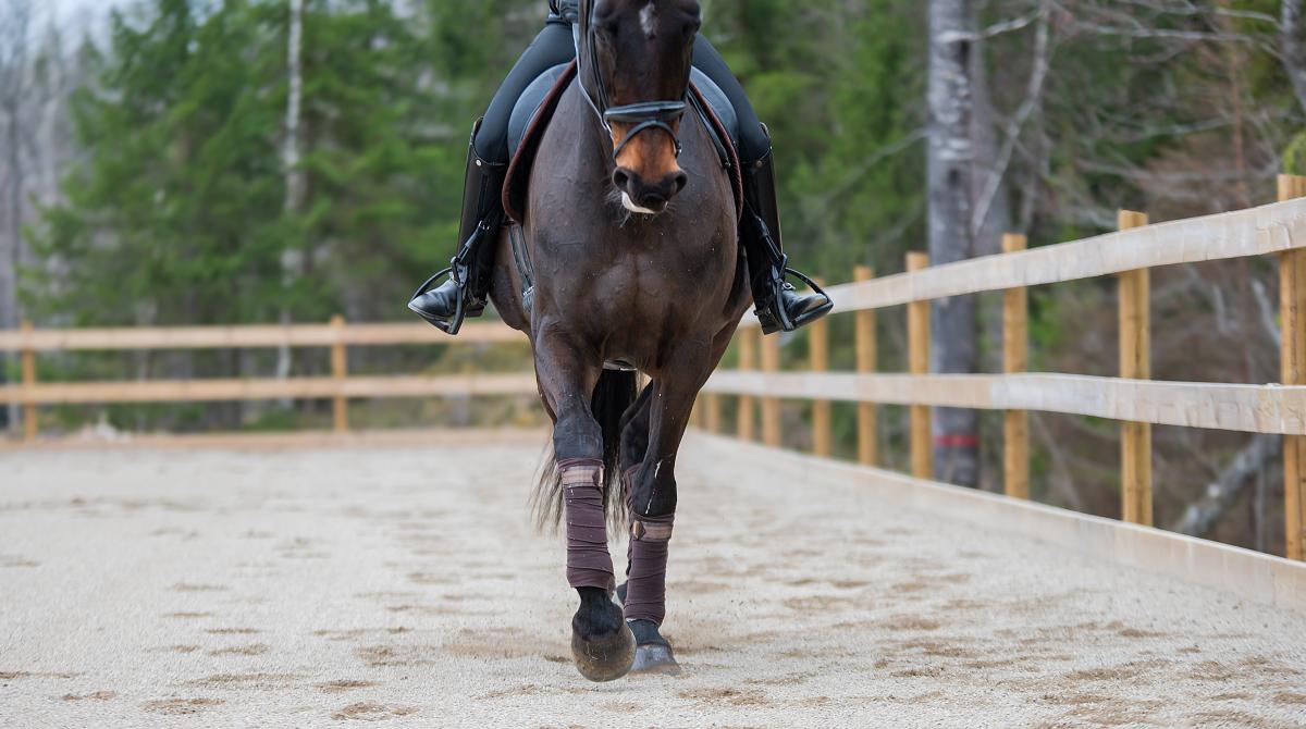 Rakt på sak – därför bör du rida innanför spåret oftare
