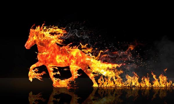 Så håller du energin uppe som tävlingsryttare – En checklista för din ork