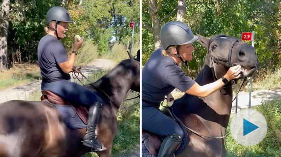 <p>Polishästen Kakan låter sig inte luras i första taget. Att ryttaren tar en äppeltugga går honom inte alls obemärkt förbi – utan det blir tvärnit.