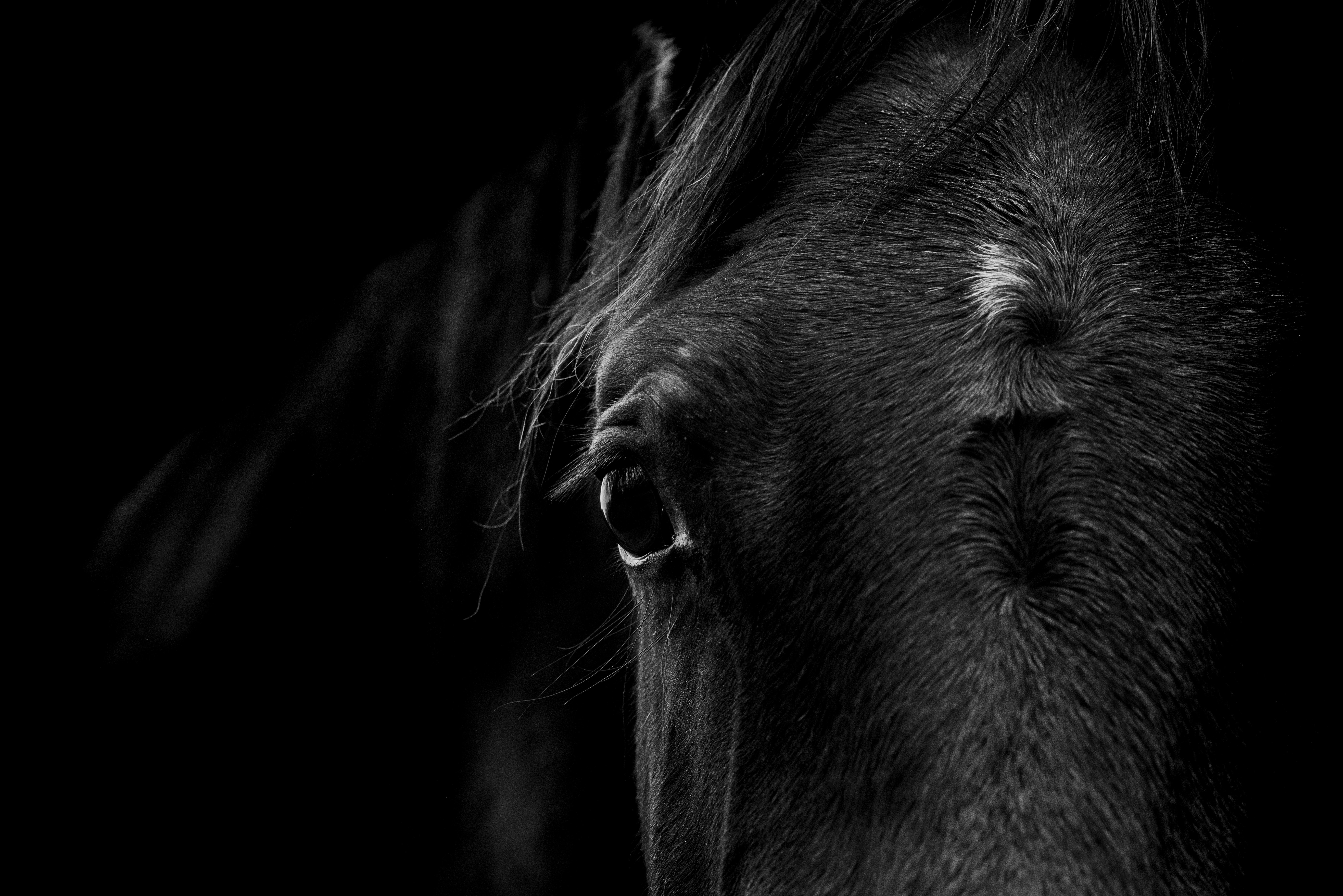 Genrebild. Foto: Adobe Stock