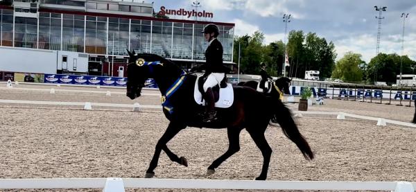 Trefaldig seger på Gripens 3*-meeting med Dalgaards Dux