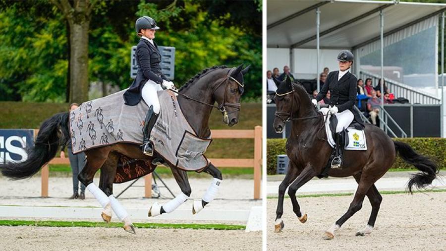 Seger i lilla finalen för Linnéa Cöster och Liberace for U