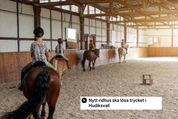 Foto: Adobe Stock 