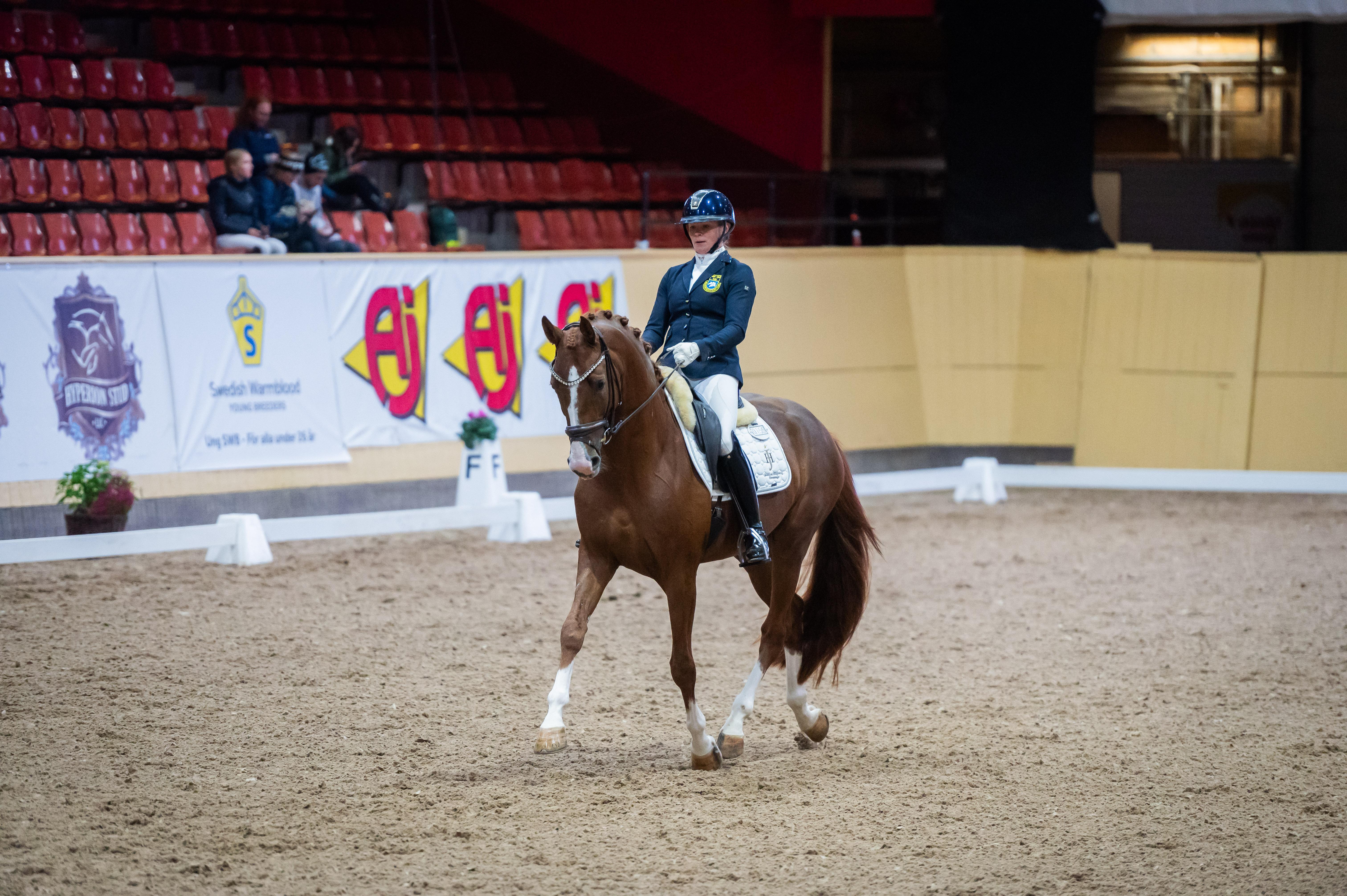 Jeanna Högberg och Severucci HT under Breeders 2024. Foto: Ida Lindemann