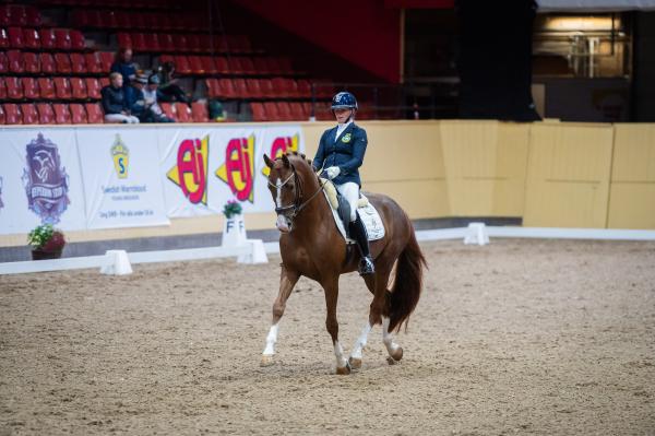 Jeanna Högberg och Severucci HT under Breeders 2024. Foto: Ida Lindemann