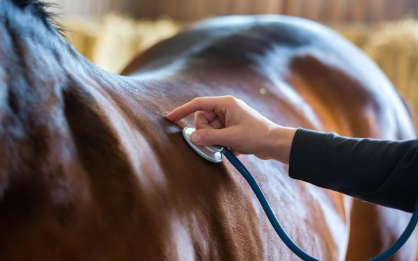 Genrebild. Foto: Adobe stock