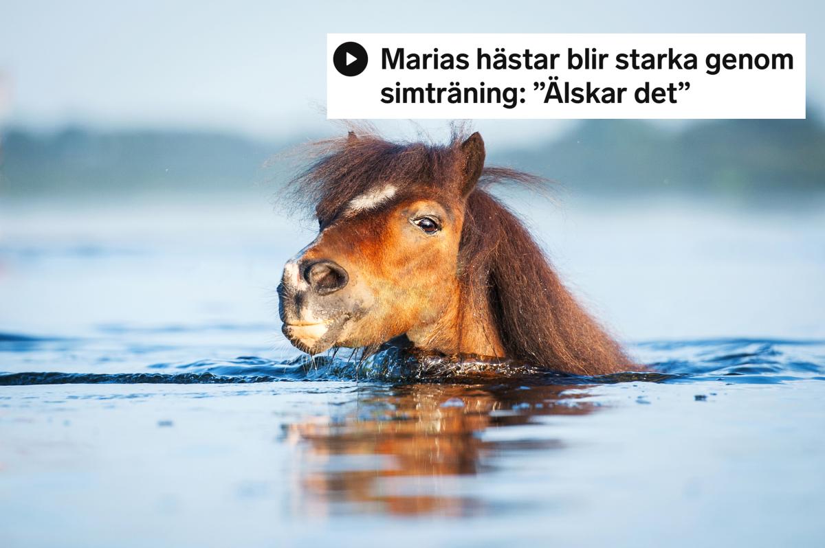 Genrebild. Foto: Adobe stock