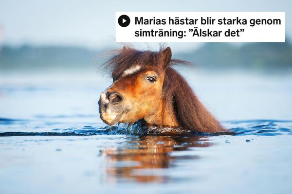 Genrebild. Foto: Adobe stock