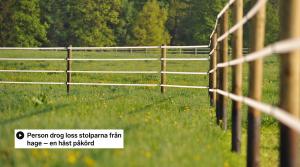 Arkivfoto: Adobe Stock