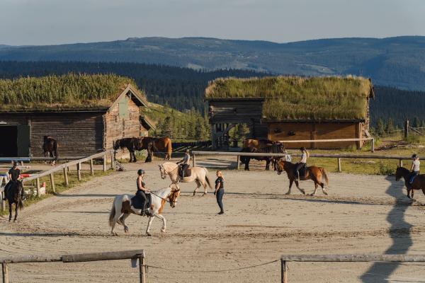 I fjällen med dressyrhästarna – Marianne kombinerar tävling med natur