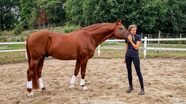 Kajsa Larsson och hingsten Quickstep som hon kan träna helt löst. Foto: Privat
