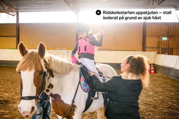 Genrebild. Foto: Petter Arvidson/Bildbyrån
