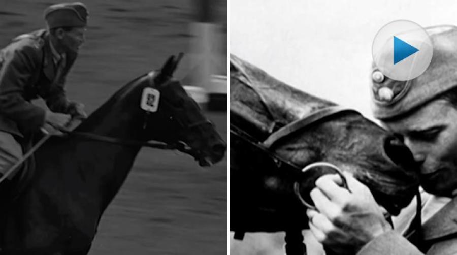 <p>Fälttävlans-VM står i startgroparna och SVT Hästar har grävt i arkivet. Här är berättelsen om en oväntad OS-guldmedalj i Stockholm år 1956.